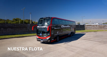 Nuestros buses